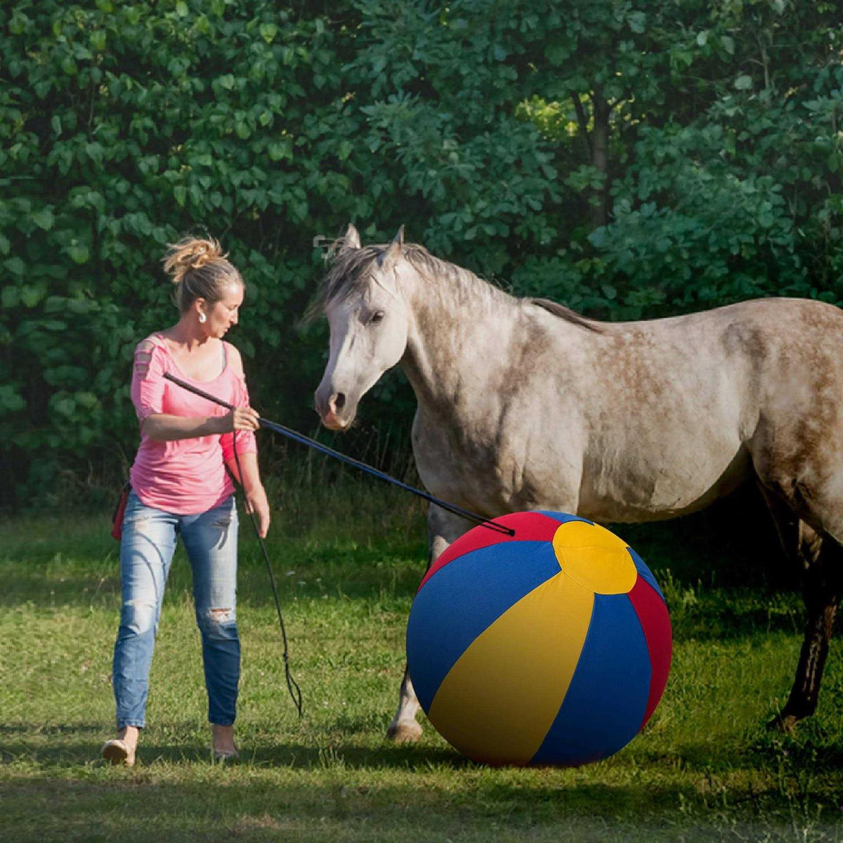 Herding Ball for Horses with Hand Pump N1955