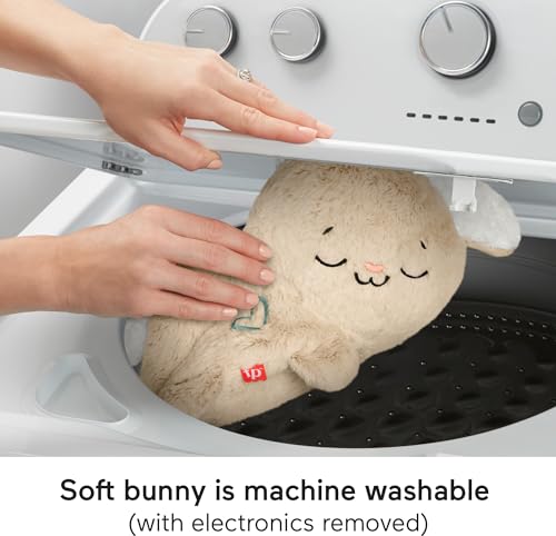 Portable Plush Sound Machine with Music Lights N381731