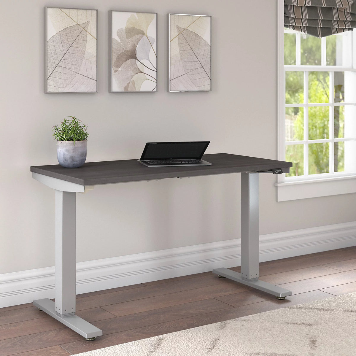 48” Electric Standing Desk T316