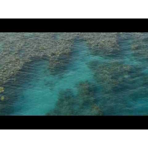 Red Sea Coral Pro Salt D978