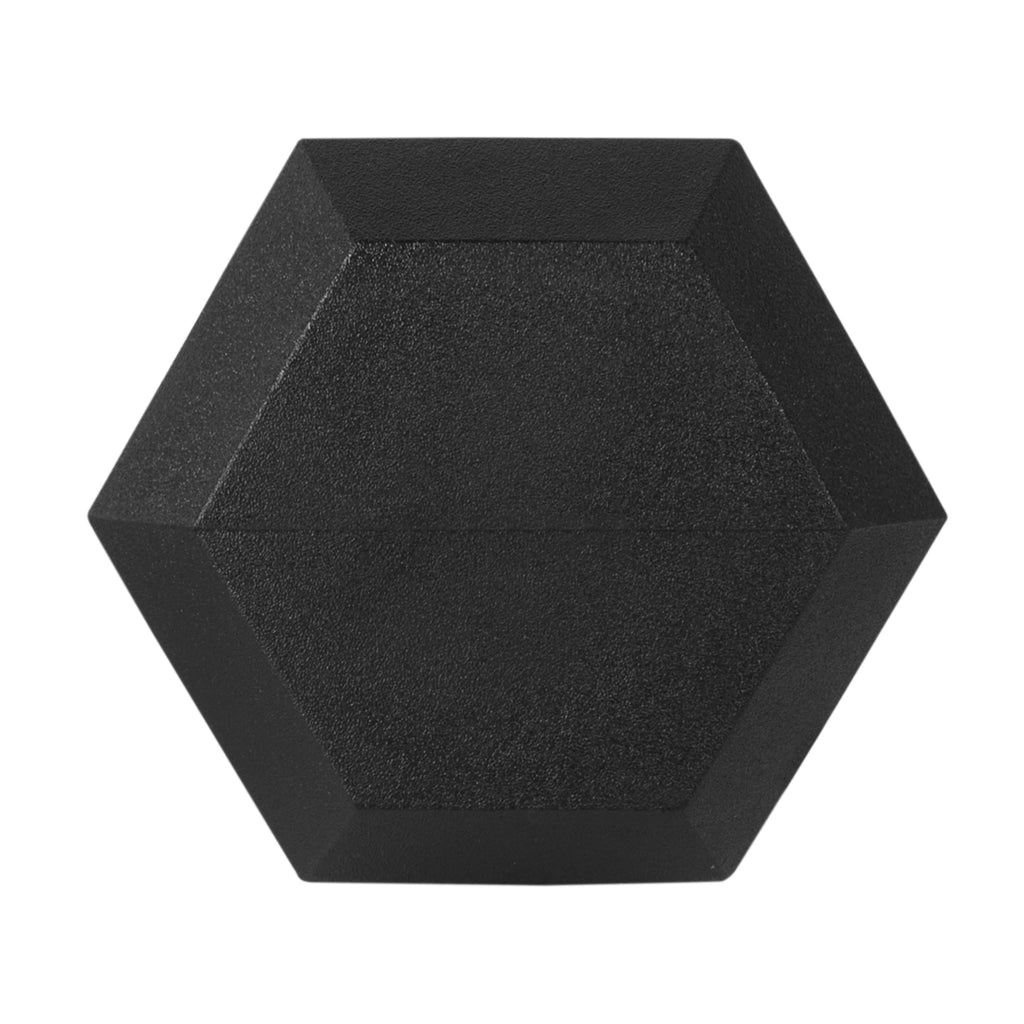 25lb Rubber Hex Dumbbell D310