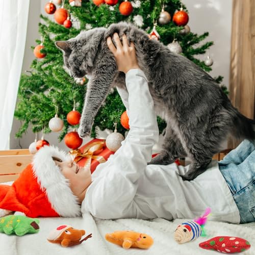 12Pcs Christmas Cat Toys Set with Catnip Plush Mice Feather Cat Wand J465548