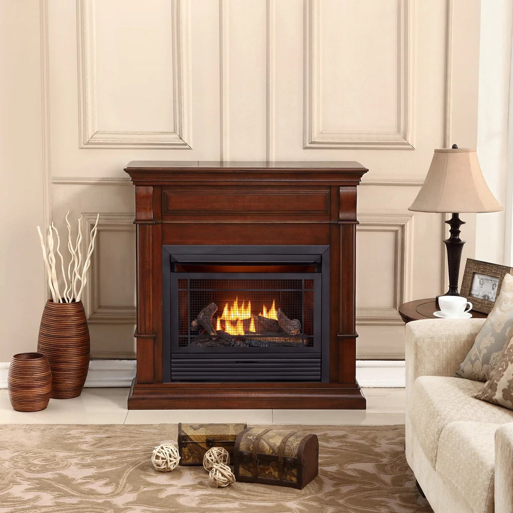 26,000 BTU Dual Fuel Ventless Gas Fireplace with Remote Control L825257