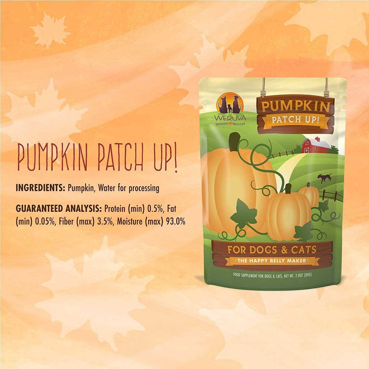 Pumpkin Patch Up Z81873