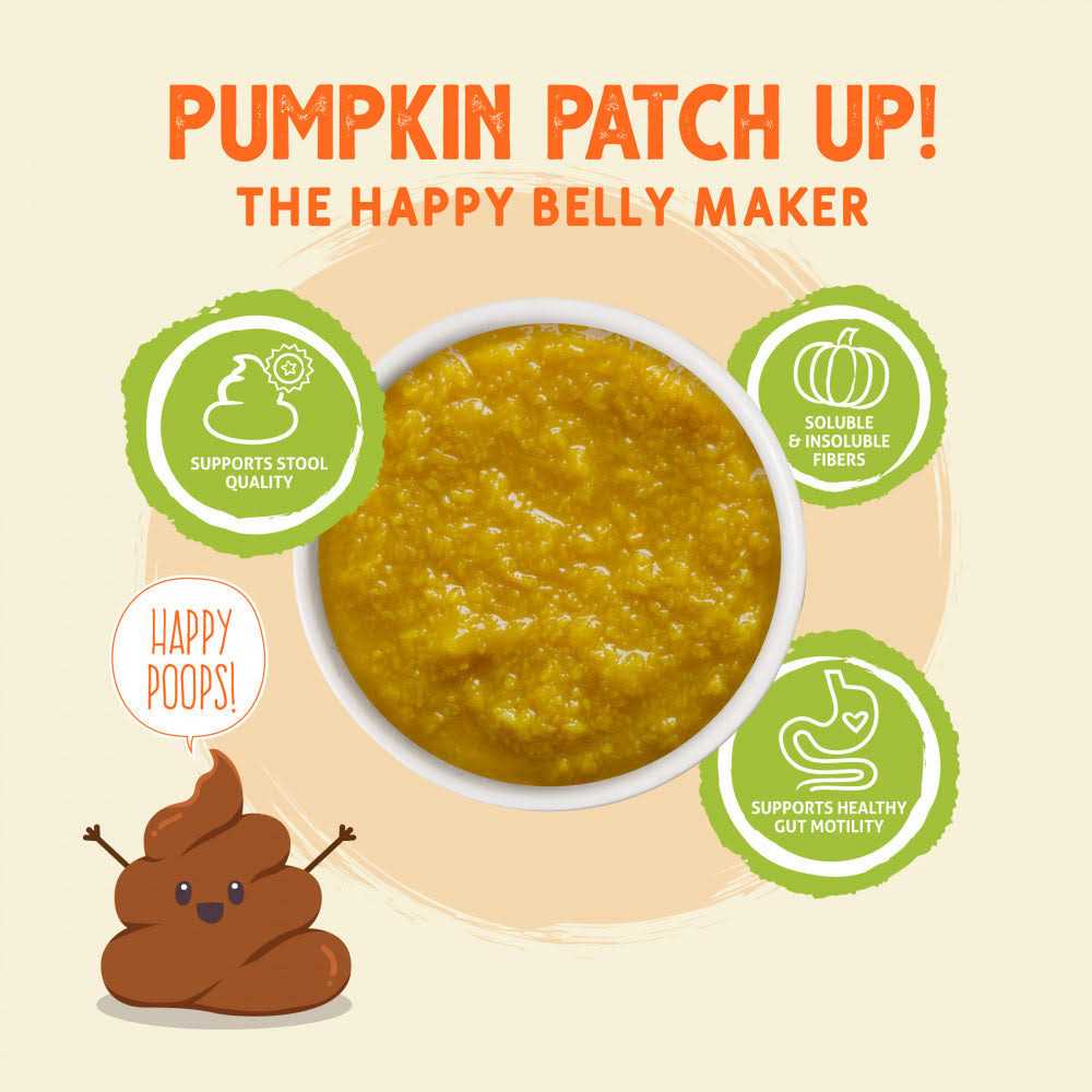 Pumpkin Patch Up Z81873