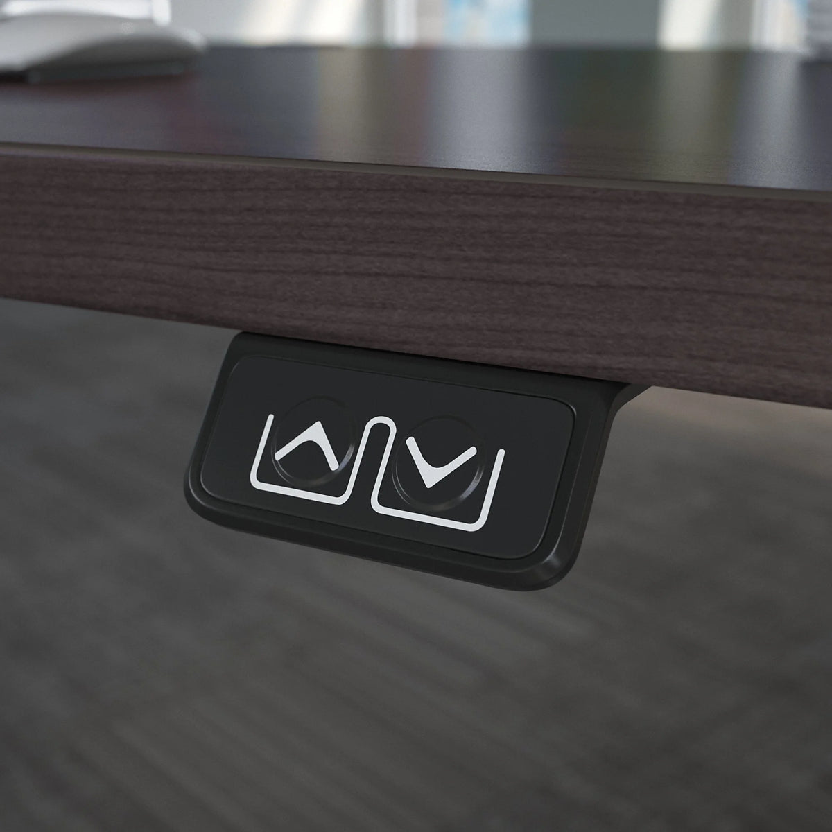 48” Electric Standing Desk T316