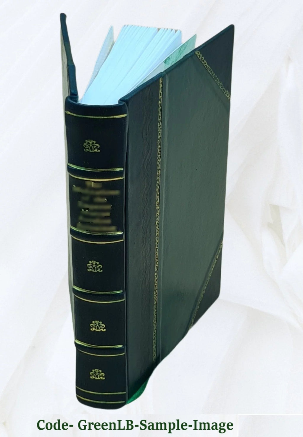 Italian Finance History Leather Bound V96568