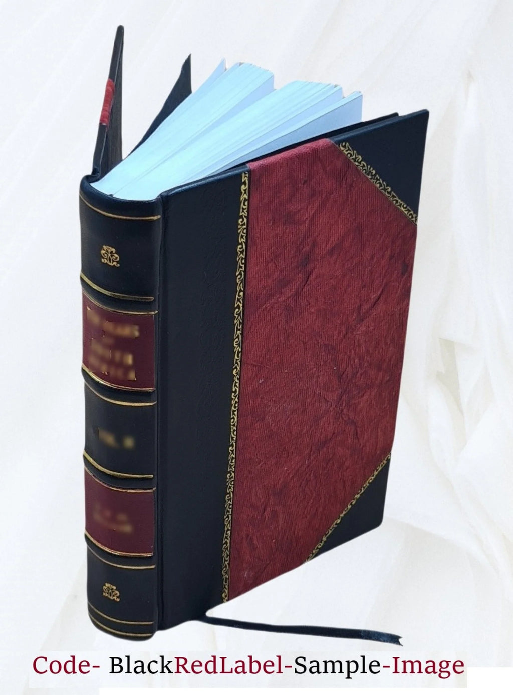 Italian Finance History Leather Bound V96568